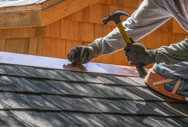 Best Gutter Installation and Repair  in Princevle, IL