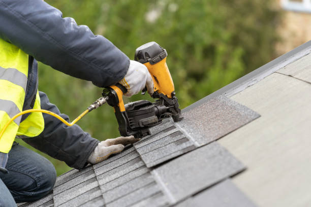 Best Skylight Installation and Repair  in Princevle, IL