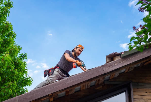 Reliable Princeville, IL  Roofing repair and installation Solutions
