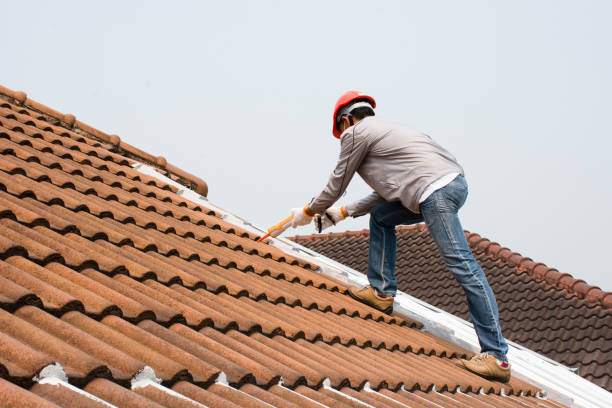 Best Chimney Flashing Repair  in Princevle, IL