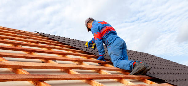 4 Ply Roofing in Princeville, IL