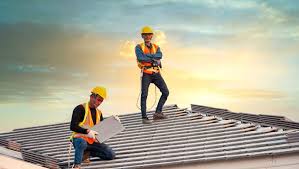 Best Roof Maintenance and Cleaning  in Princevle, IL